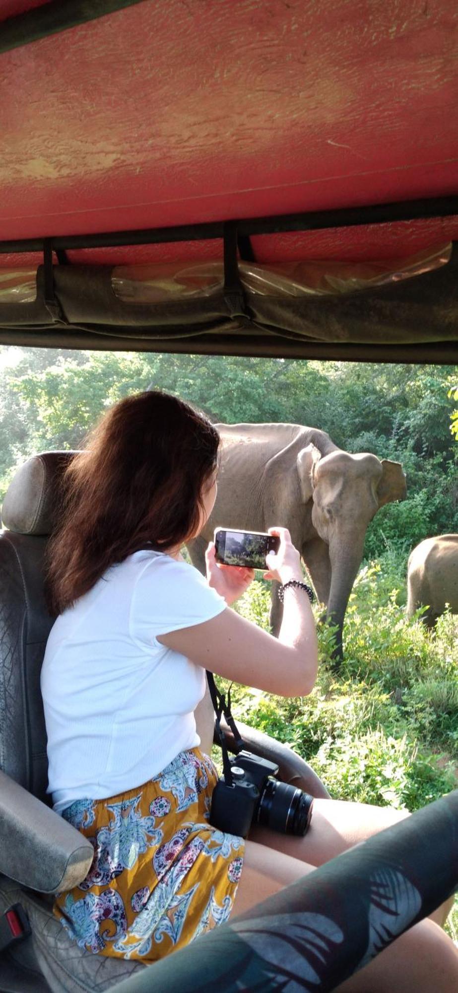 Safari Horizon Udawalawe住宿加早餐旅馆 外观 照片